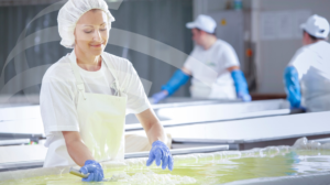 Project 1 Proposal : To face next pandemic along the food chain