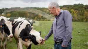 A collaborative and systemic food safety intelligence for common good